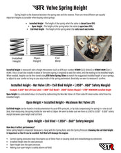 Load image into Gallery viewer, BTR PLATINUM LS DUAL SPRING KIT - .660" LIFT - SK001