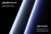 Load image into Gallery viewer, Diode Dynamics RGBW Multicolor Underglow LED Kit