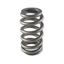 Load image into Gallery viewer, PAC 1234X 2011-2017 Gen 1/Gen2 Coyote Drop In Valve Springs. Set of 16