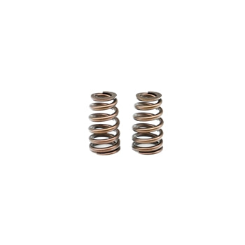 TSP LTx Gen 5 Beehive Low Lift Valve Spring Kit , LT1, L83, L86