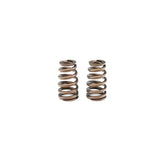 TSP LTx Gen 5 Beehive Low Lift Valve Spring Kit , LT1, L83, L86