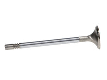 Load image into Gallery viewer, Manley Ford Modular Coyote 5.0L Gen III Race Master Series Exhaust Valve Set - 1.260in Dia