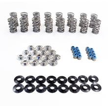 Load image into Gallery viewer, PAC 1209X .750" Dual Spring Kit w/ Dual Valve Springs and Titanium Retainers