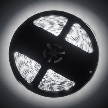 Load image into Gallery viewer, User 1
