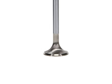Load image into Gallery viewer, Manley Ford Modular Coyote 5.0L Gen III Race Master Series Intake Valve Set - 1.485in Dia