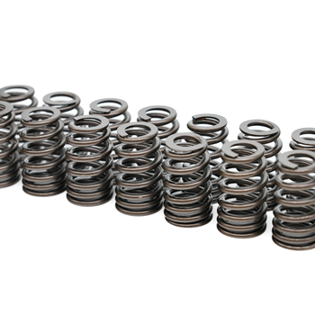 PAC High Performance LS .550" Lift Springs (Replaced 12713265)