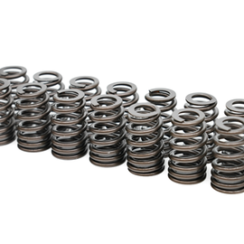 PAC High Performance LS .550