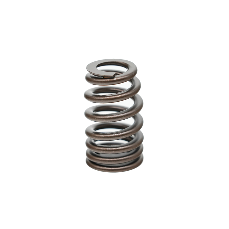 PAC High Performance LS .550" Lift Springs (Replaced 12713265)