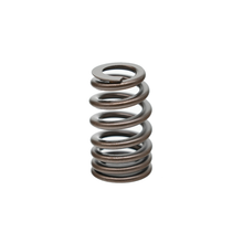 Load image into Gallery viewer, PAC High Performance LS .550" Lift Springs (Replaced 12713265)