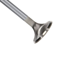 Manley Ford Modular Coyote 5.0L Gen III Race Master Series Intake Valve Set - 1.485in Dia