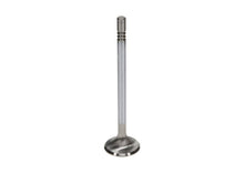 Load image into Gallery viewer, Manley Ford GT350 Voodoo 5.2L Race Master Series Intake Valve Set - 1.508in