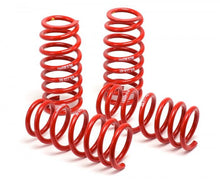 Load image into Gallery viewer, H&amp;R 96-99 BMW M3 3.2L E36 Race Spring (Non Cabrio)