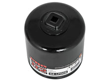 Load image into Gallery viewer, aFe Pro GUARD D2 Oil Filter 93-11 Ford Gas Trucks V8 4.6L/5.4L/5.8L (4 Pack)