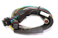 Load image into Gallery viewer, Haltech Elite 2500 Basic Universal Wire-In Harness ECU Kit