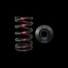 Load image into Gallery viewer, Brian Crower Nissan SR20DE/DET Single Spring &amp; Steel Retainer Kit